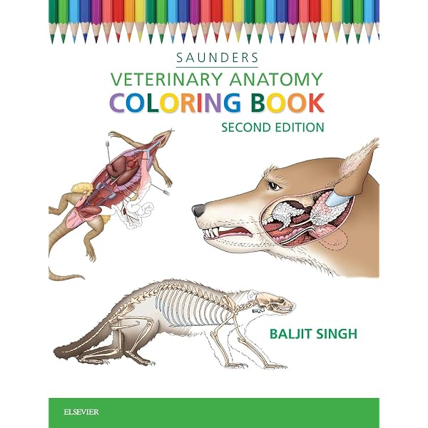Veterinary Anatomy of Domestic Animals: Textbook and Colour Atlas